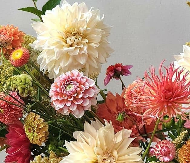 Comfy Florals In Morrisville